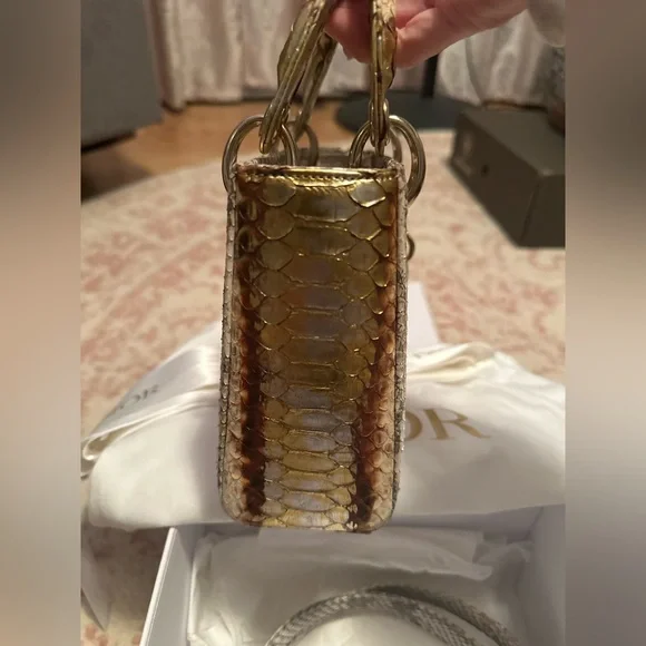 Lady Dior in Rare Gold/Bronze Python - Picture 10 of 14